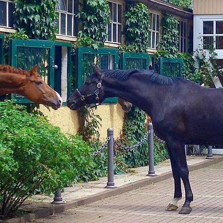 ホテル Gaestehaus Schloss Bothmer シュヴァルムシュテット エクステリア 写真