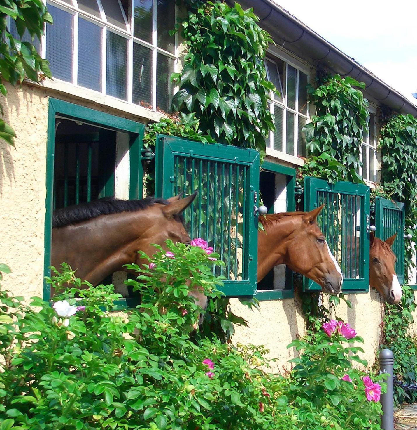 ホテル Gaestehaus Schloss Bothmer シュヴァルムシュテット エクステリア 写真