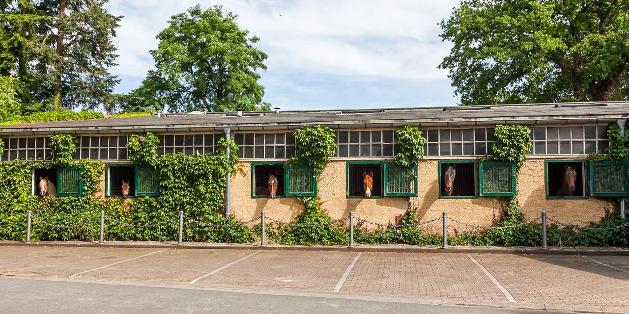 ホテル Gaestehaus Schloss Bothmer シュヴァルムシュテット エクステリア 写真